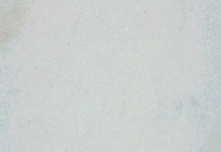 calcarios/grandes/screen_shot_2014-11-25_at_10_51_28_1416912767.png